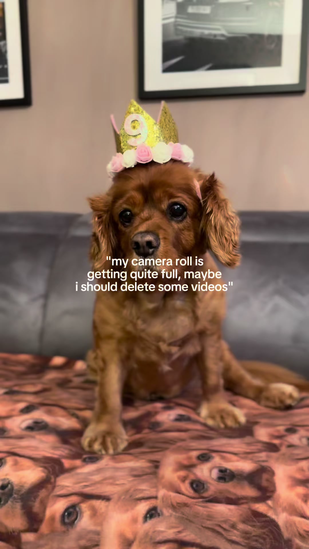@Jade
