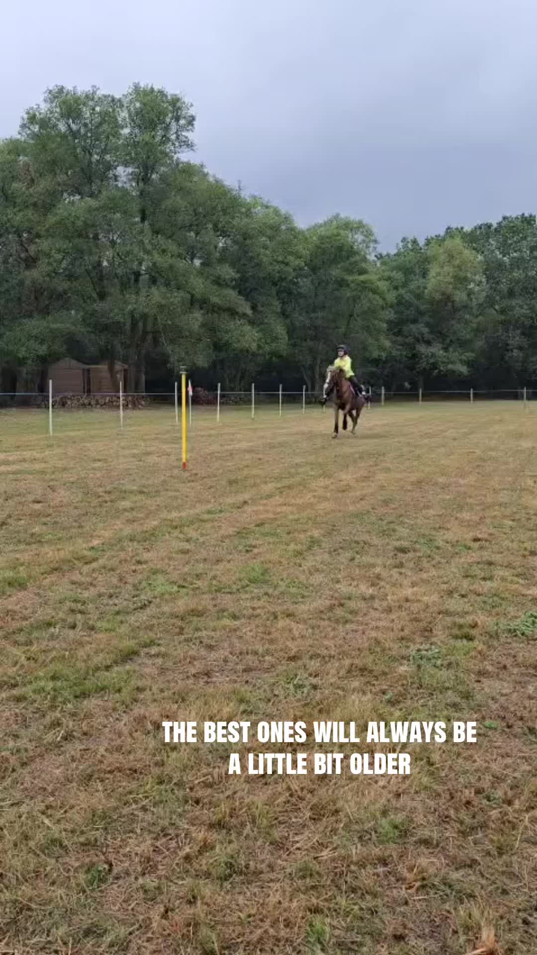 @shelbyshorseaccount