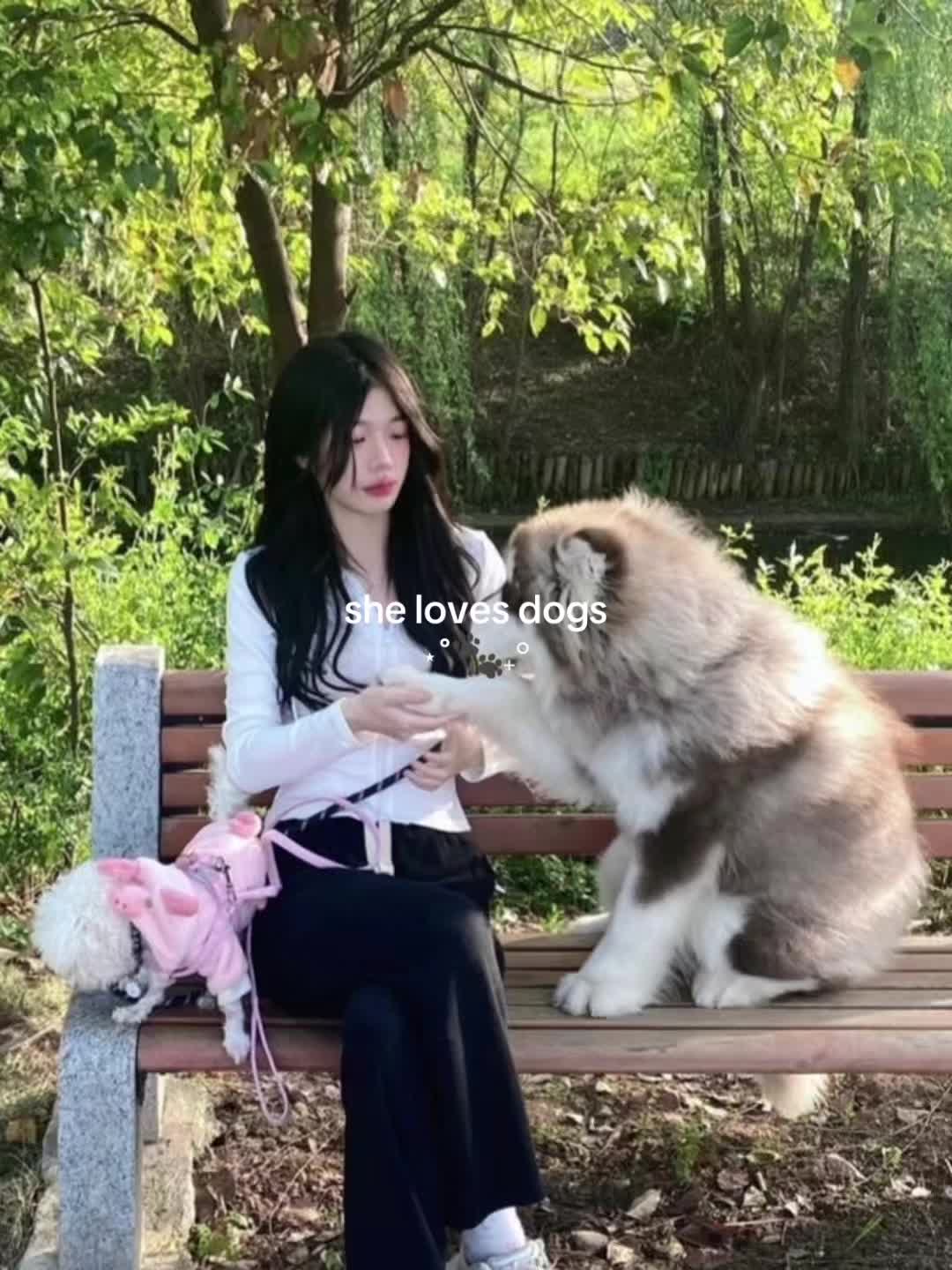 @春玉