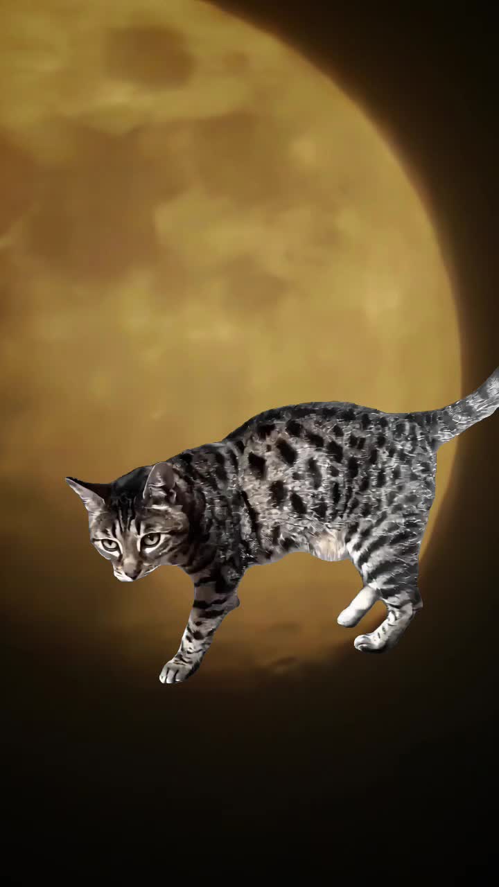 @🌠🎭𝓢𝓴𝔂𝓶𝓪𝓷🎭🌠