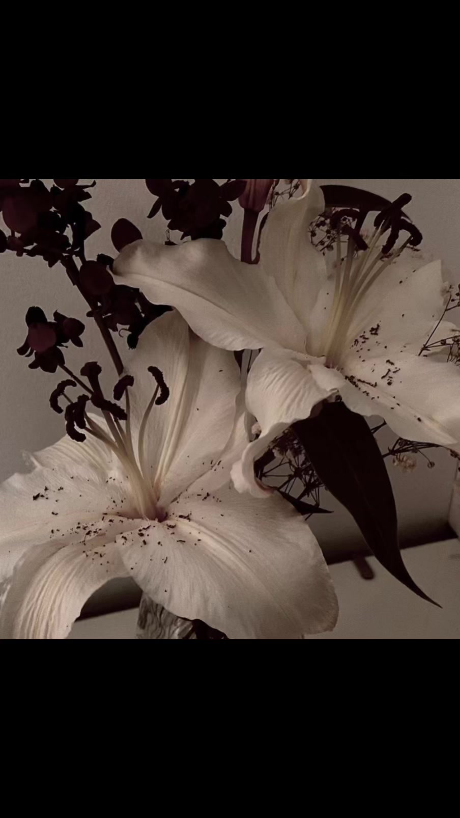 @remains of a corrupted life.