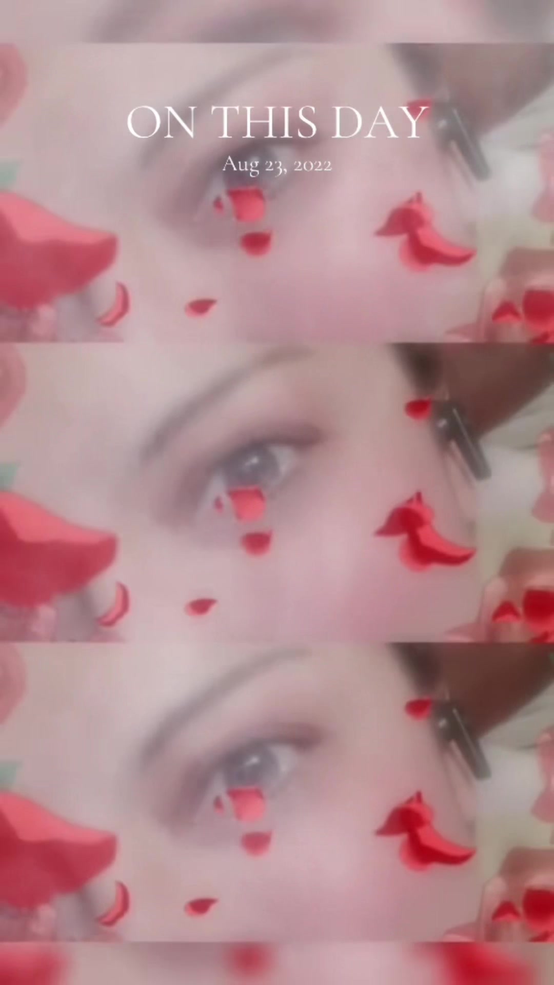 @noorsister1