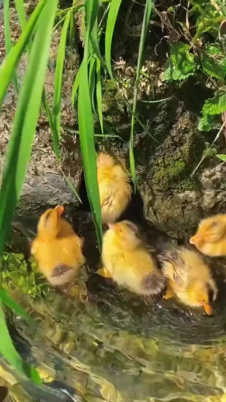 @Архитектор души