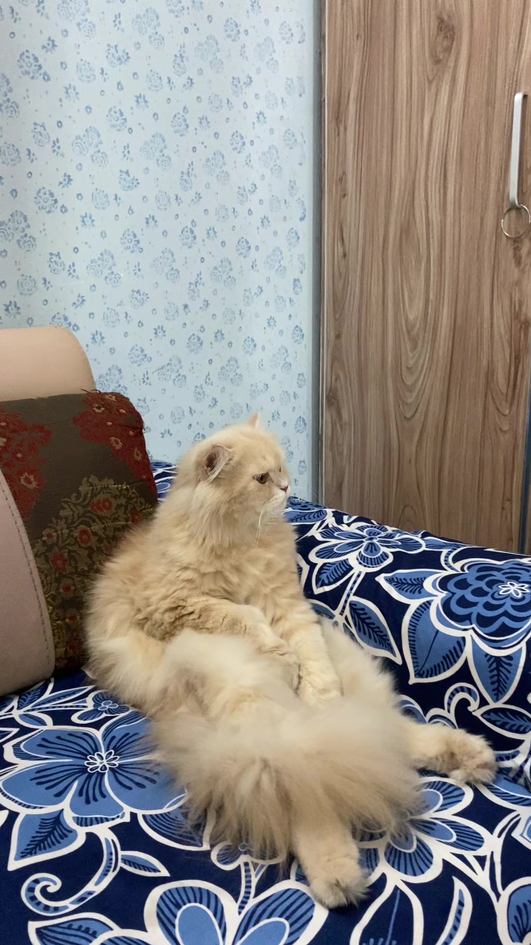 @_oreology_