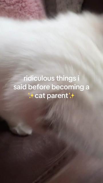 @Claws & Paws Parcels