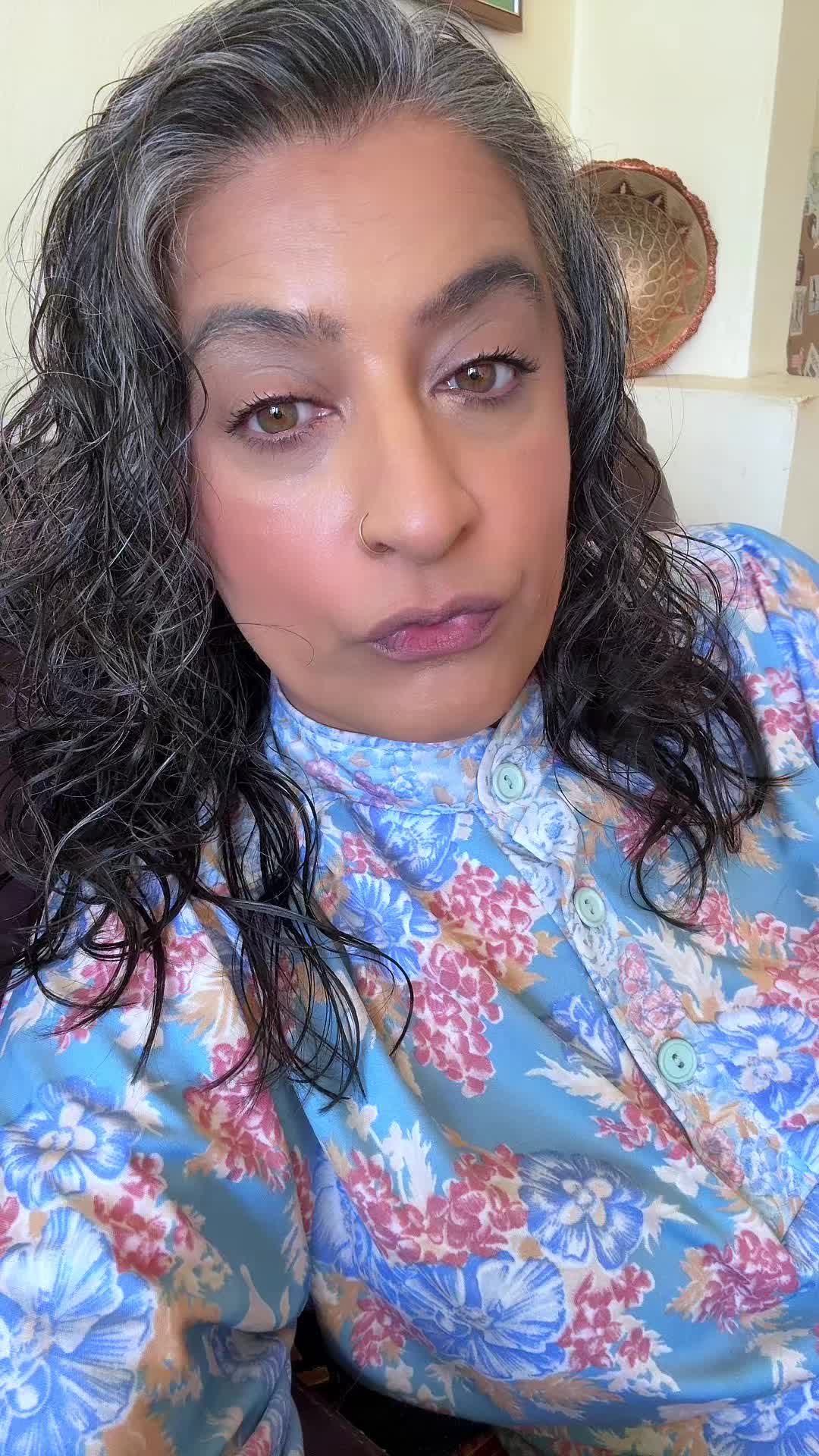 @ani.saysbackup