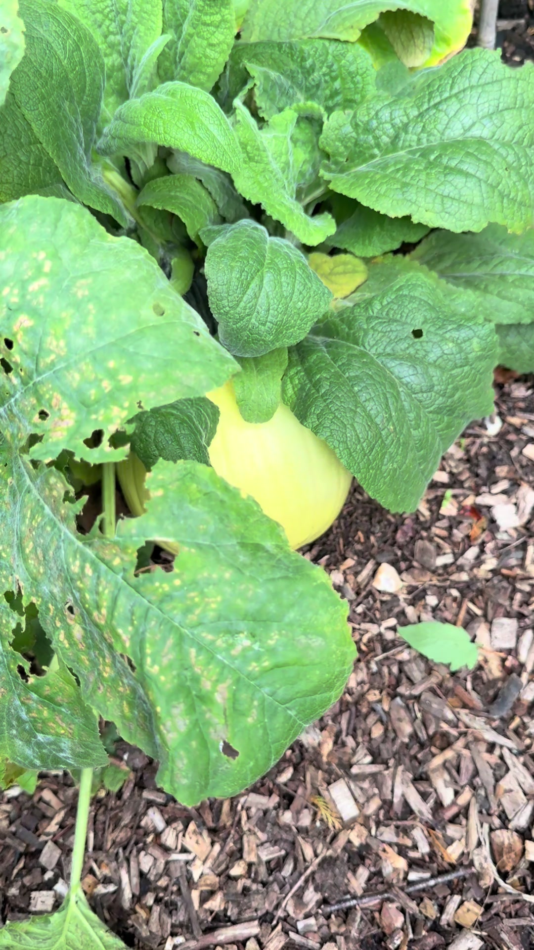 @#gardenerben