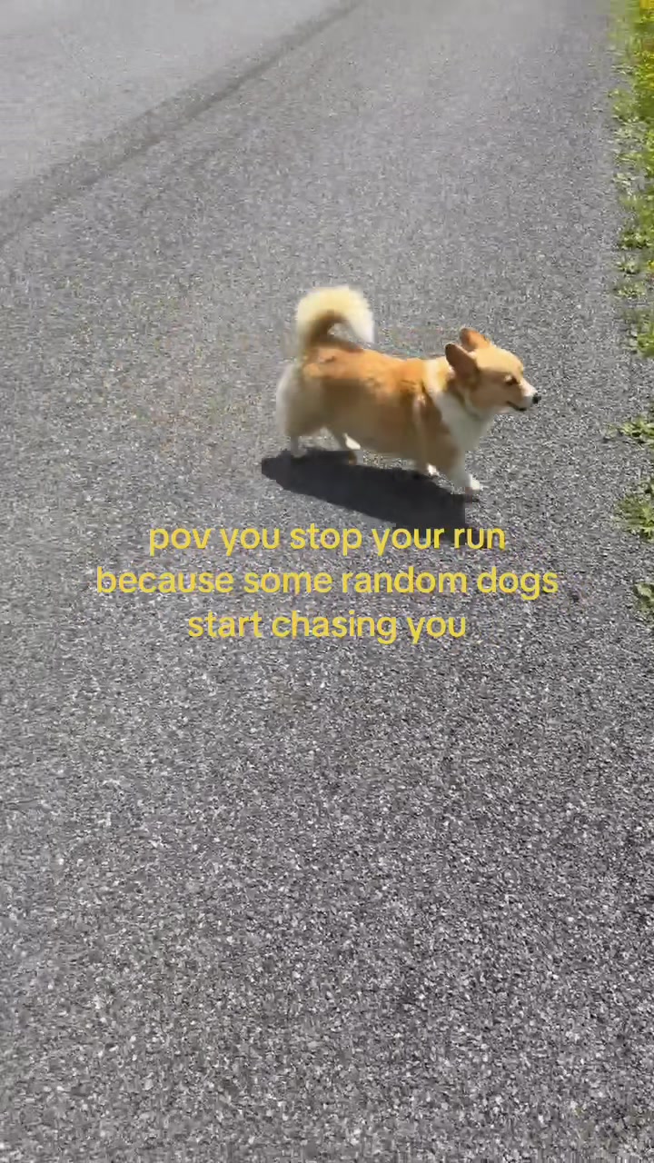 @365daysofrunning
