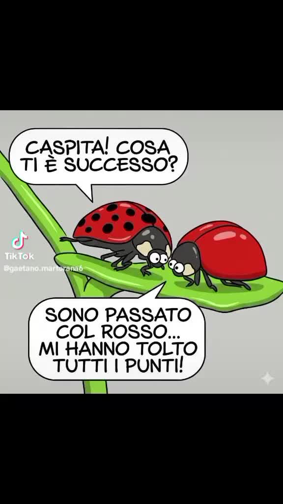 @Giusy Grillo898