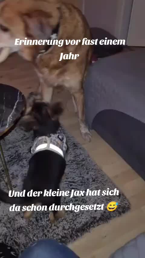 @Mikelina