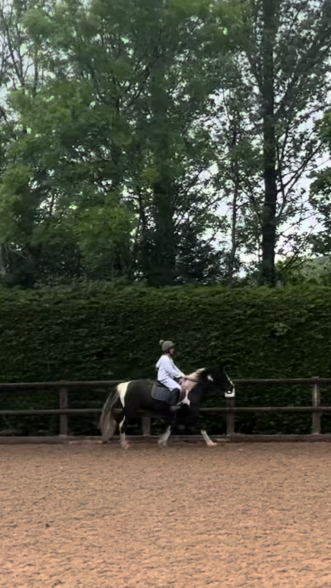 @poppy🐴 🇬🇧
