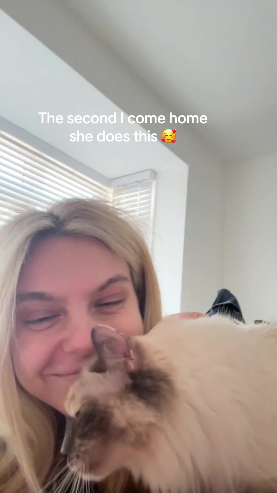 @evitaparele00