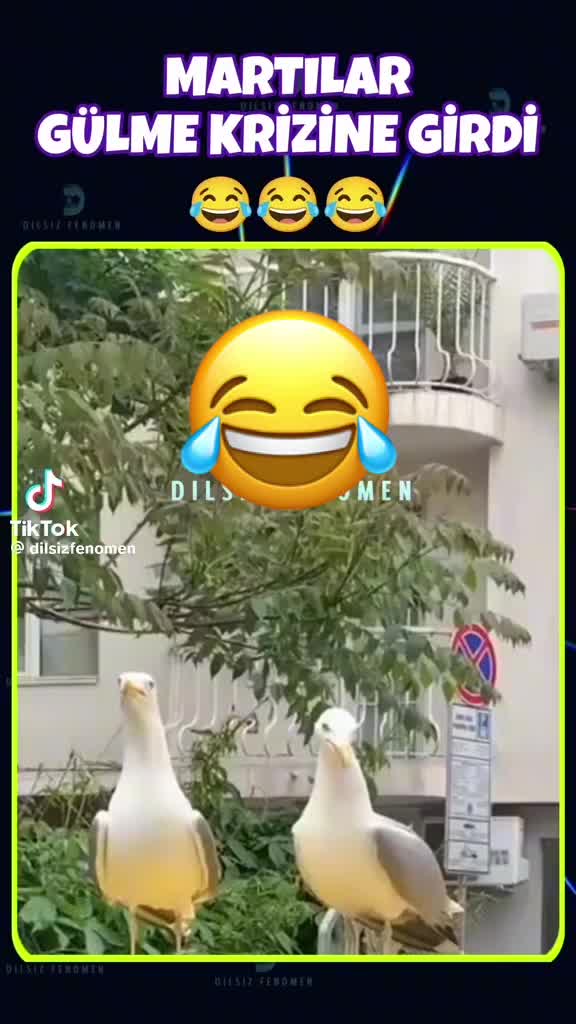 @GALATASARAY_ EUROPA_FAN