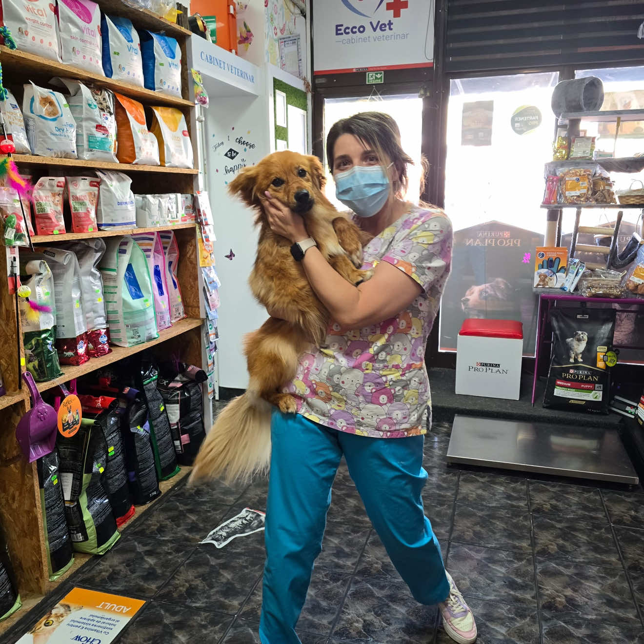 @Ecco-Vet by Dr. Diana Oprea