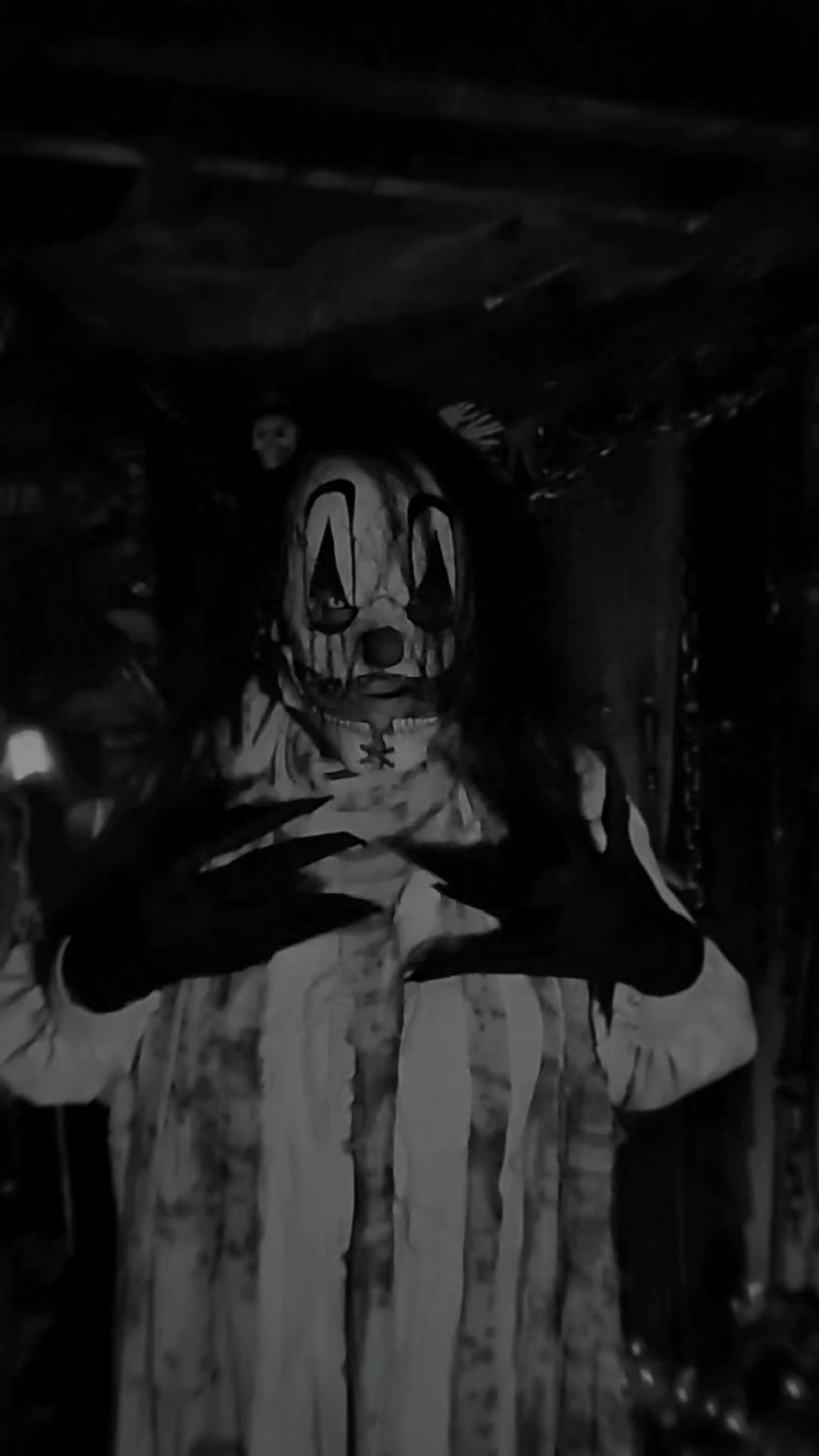 @DarkWonderland