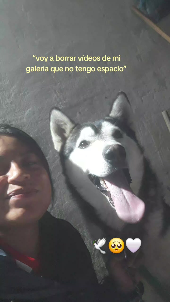 @Silvia ❤