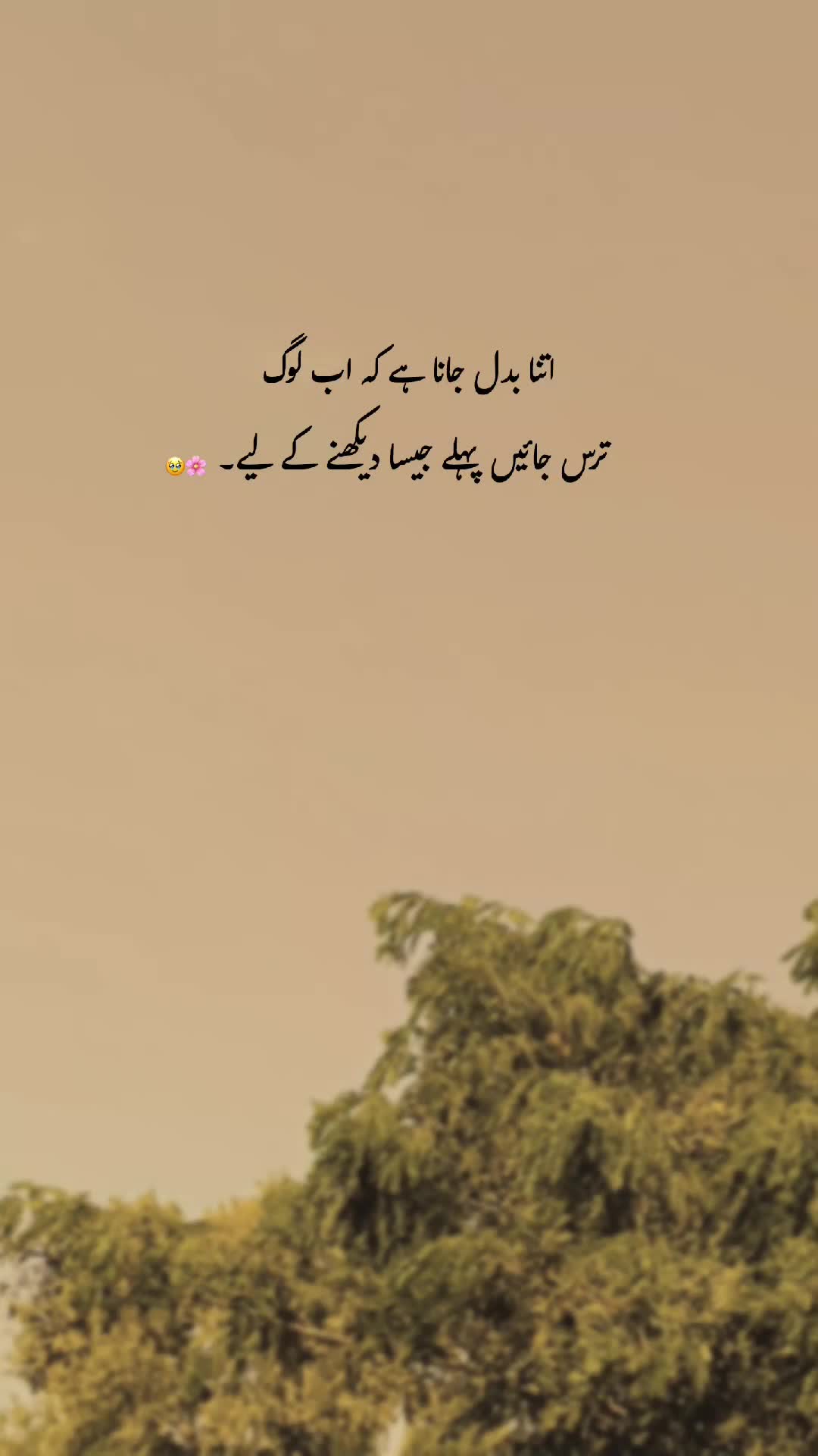 @𓆩♡𓆪