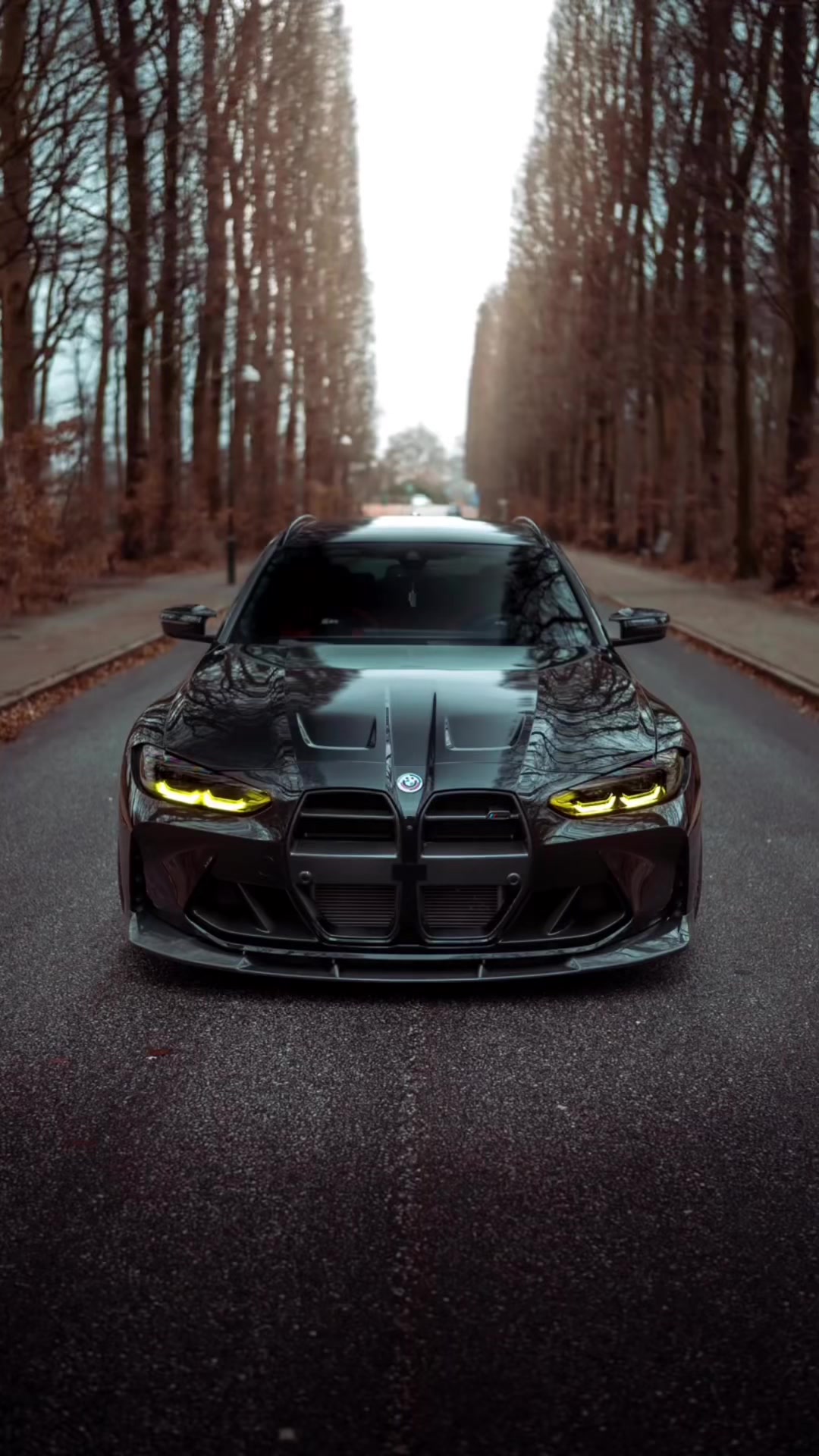 @kingkong_porsche
