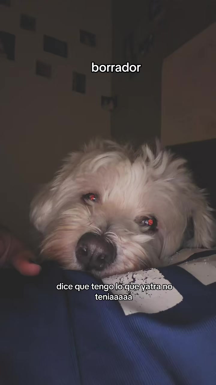 @valeria