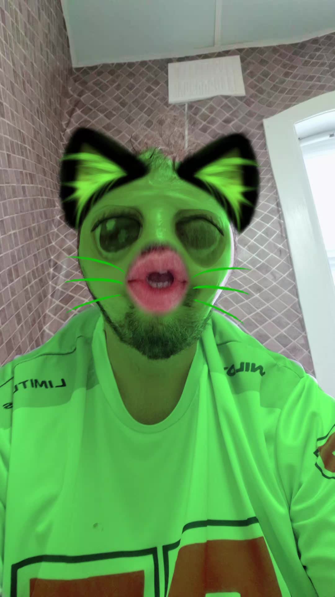 @Alibeaus Lypsync"s