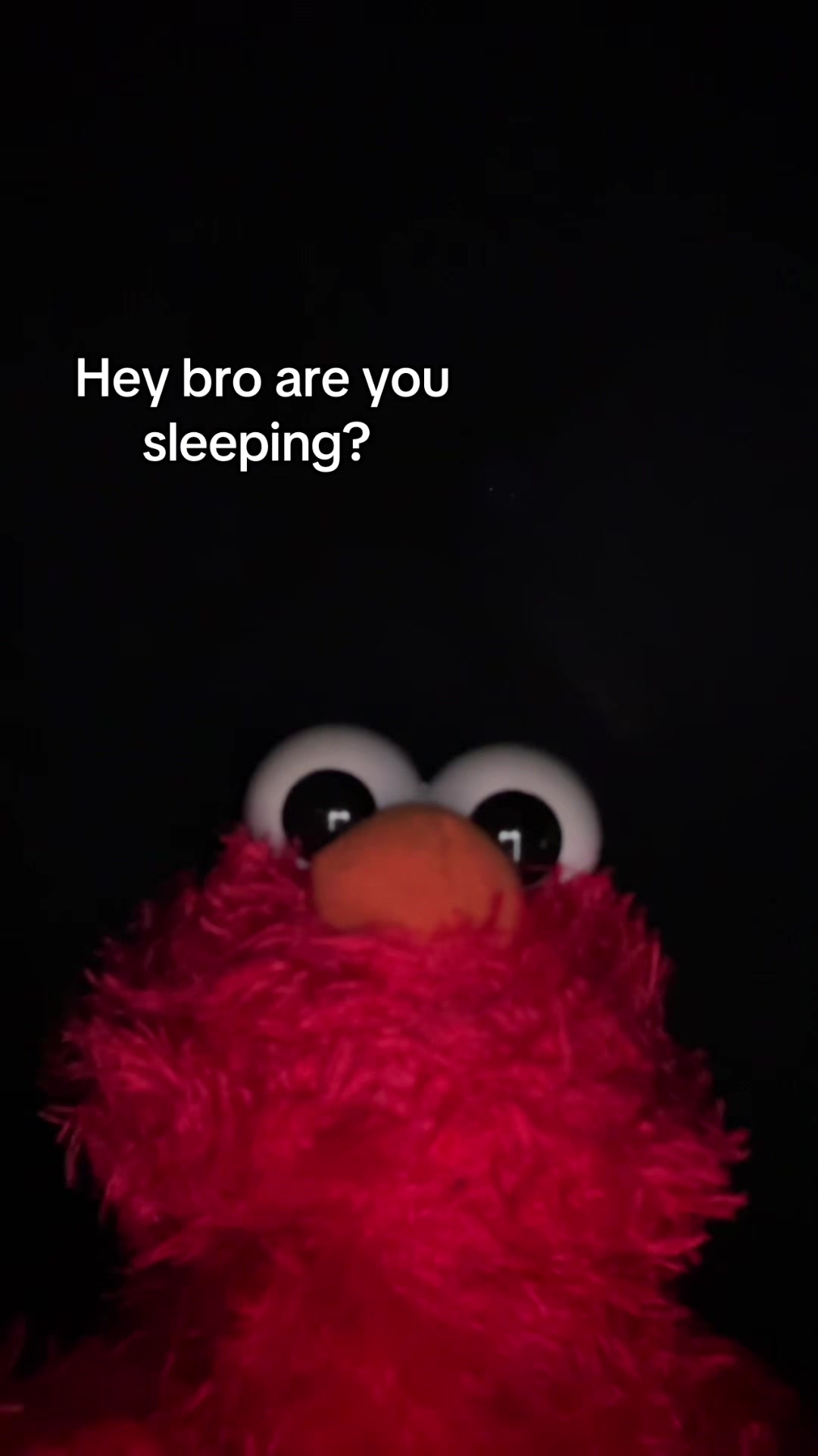 @Elmo