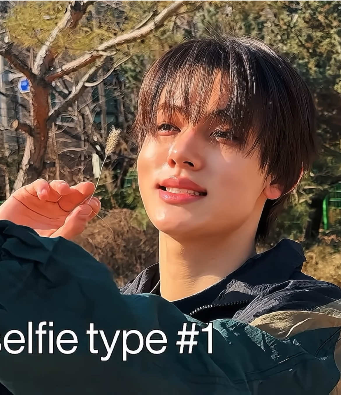 @⌗ ꒰ 𝖿 𝖺 𝗇 𝖼 𝖺 𝗆 𝗌 ꒱ ♥︎