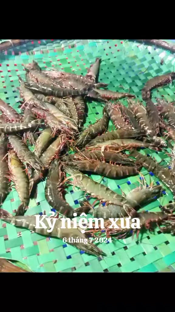 @💓 Văn Kim 12ls 🌺