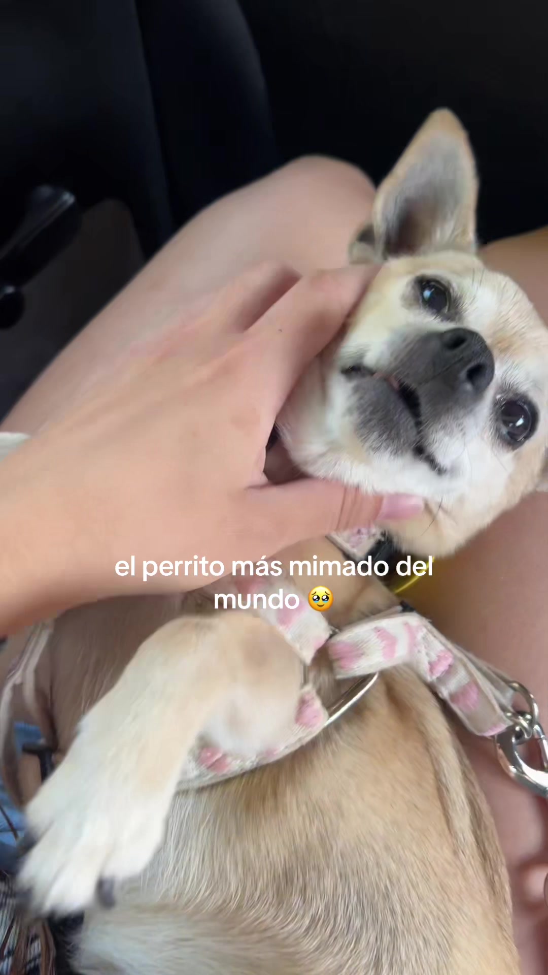 @ireebarru