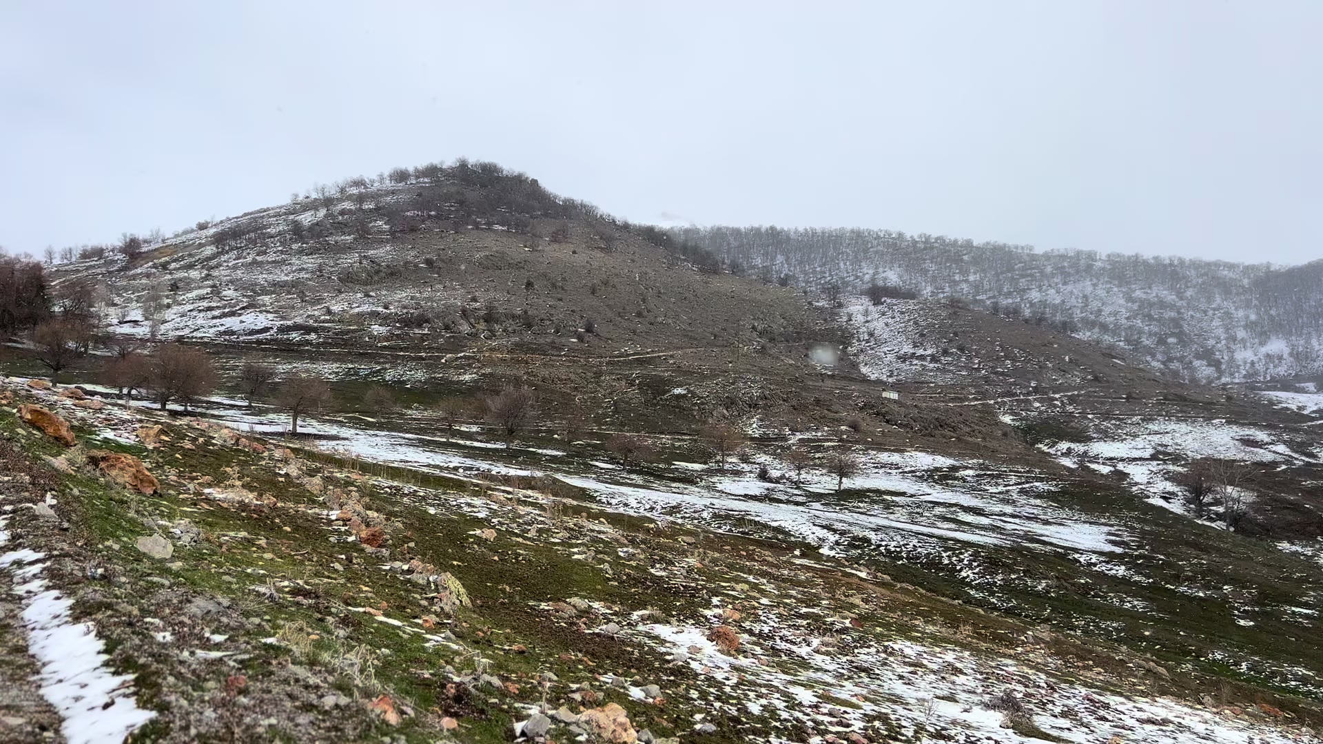 @Süleyman Ali Meleş