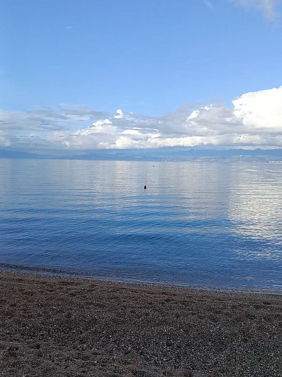 @Marina Grus