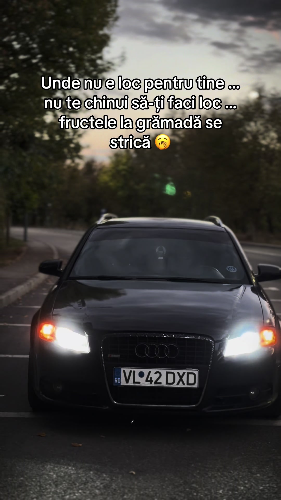 @🅳🅰🆅🅸🅳 🏎️&reg;