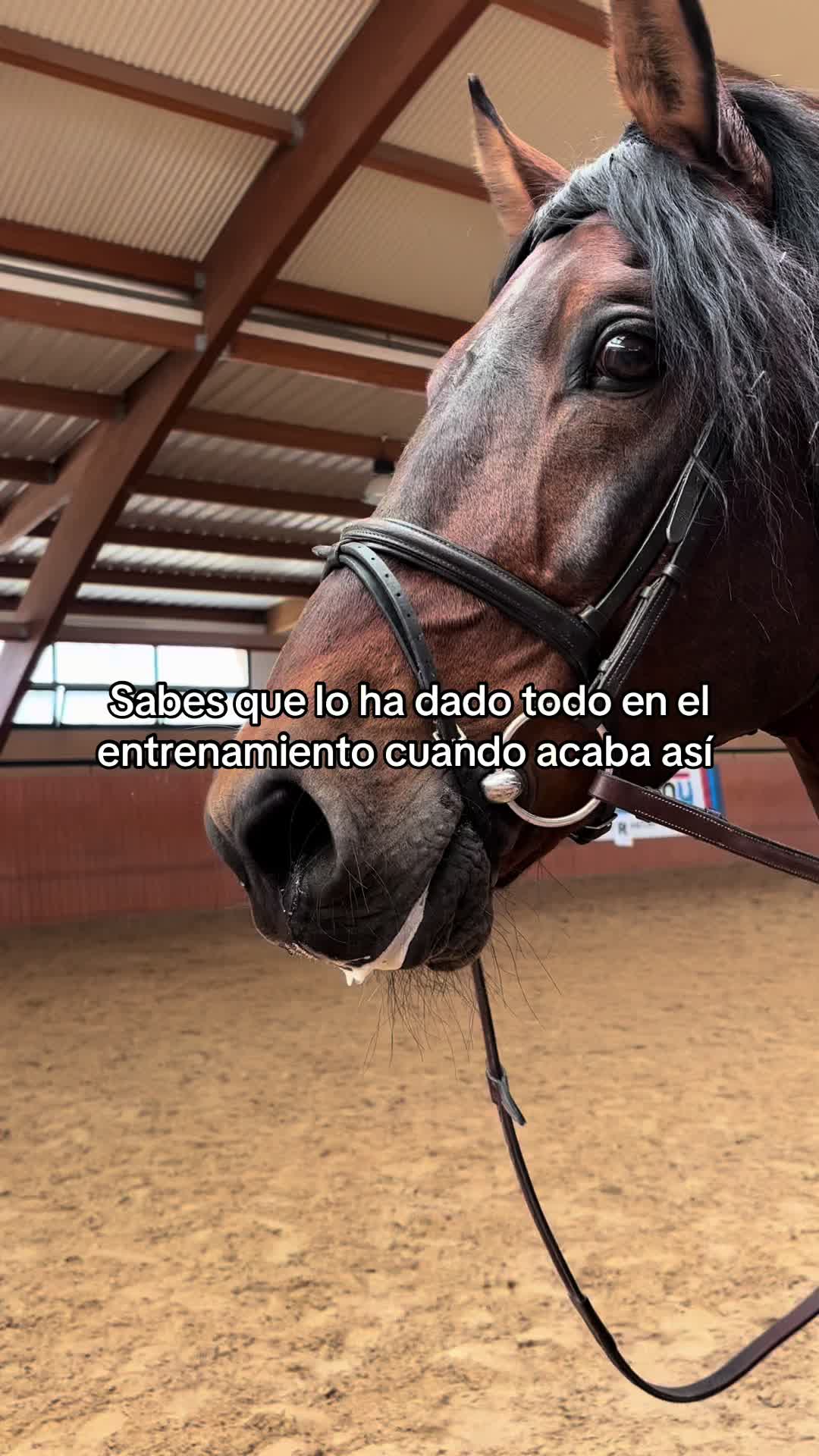 @Ana