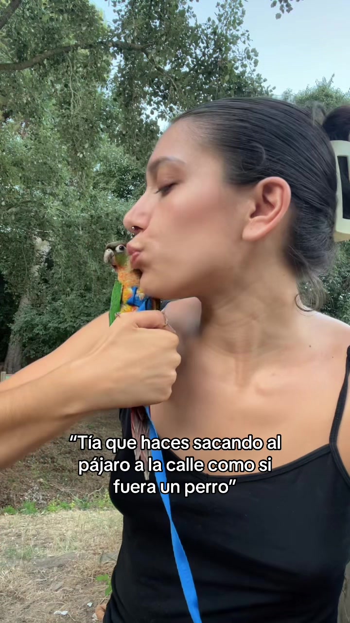 @Carla Basso