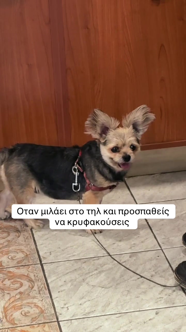 @'χαρά οικ.