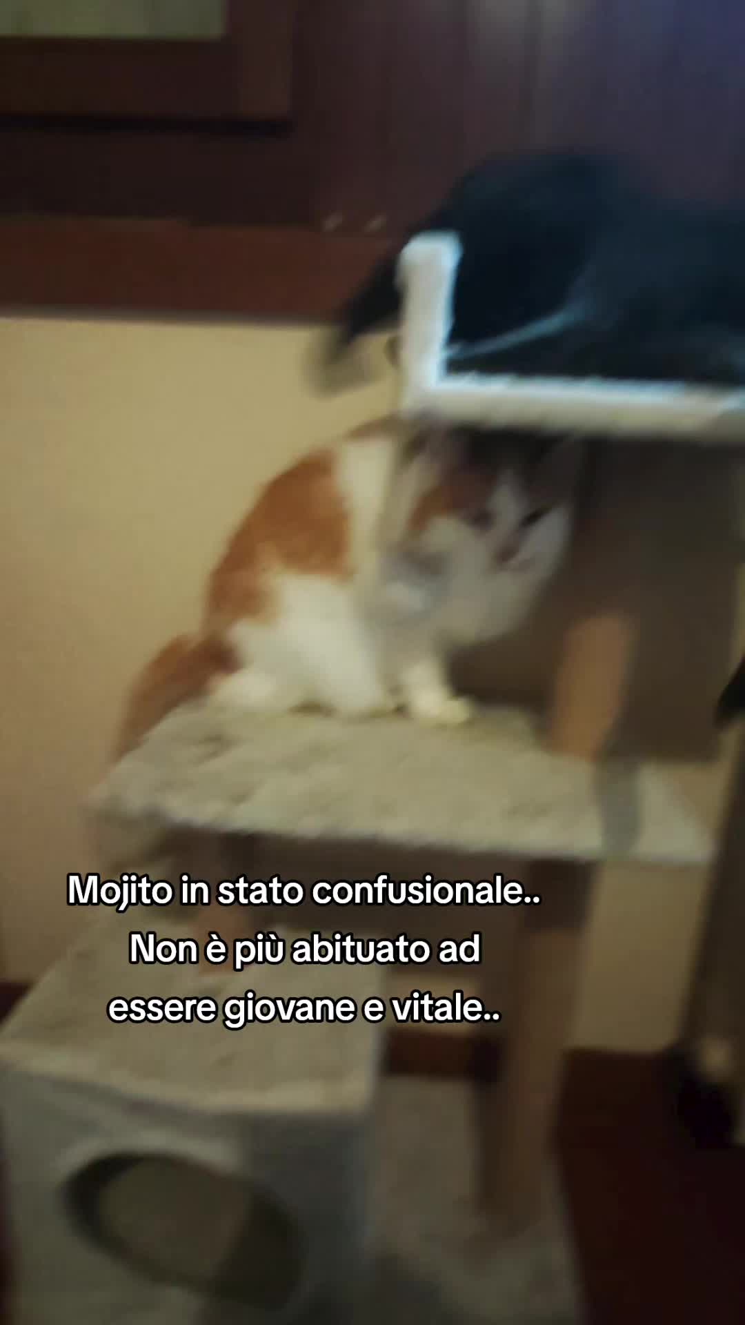 @Kiki AryaSirius Carrara