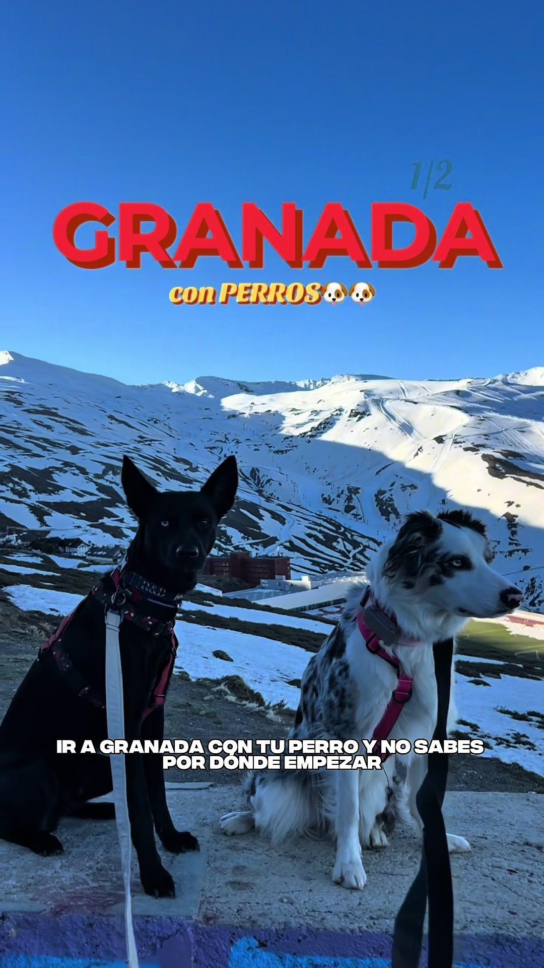 @Ares y Aura