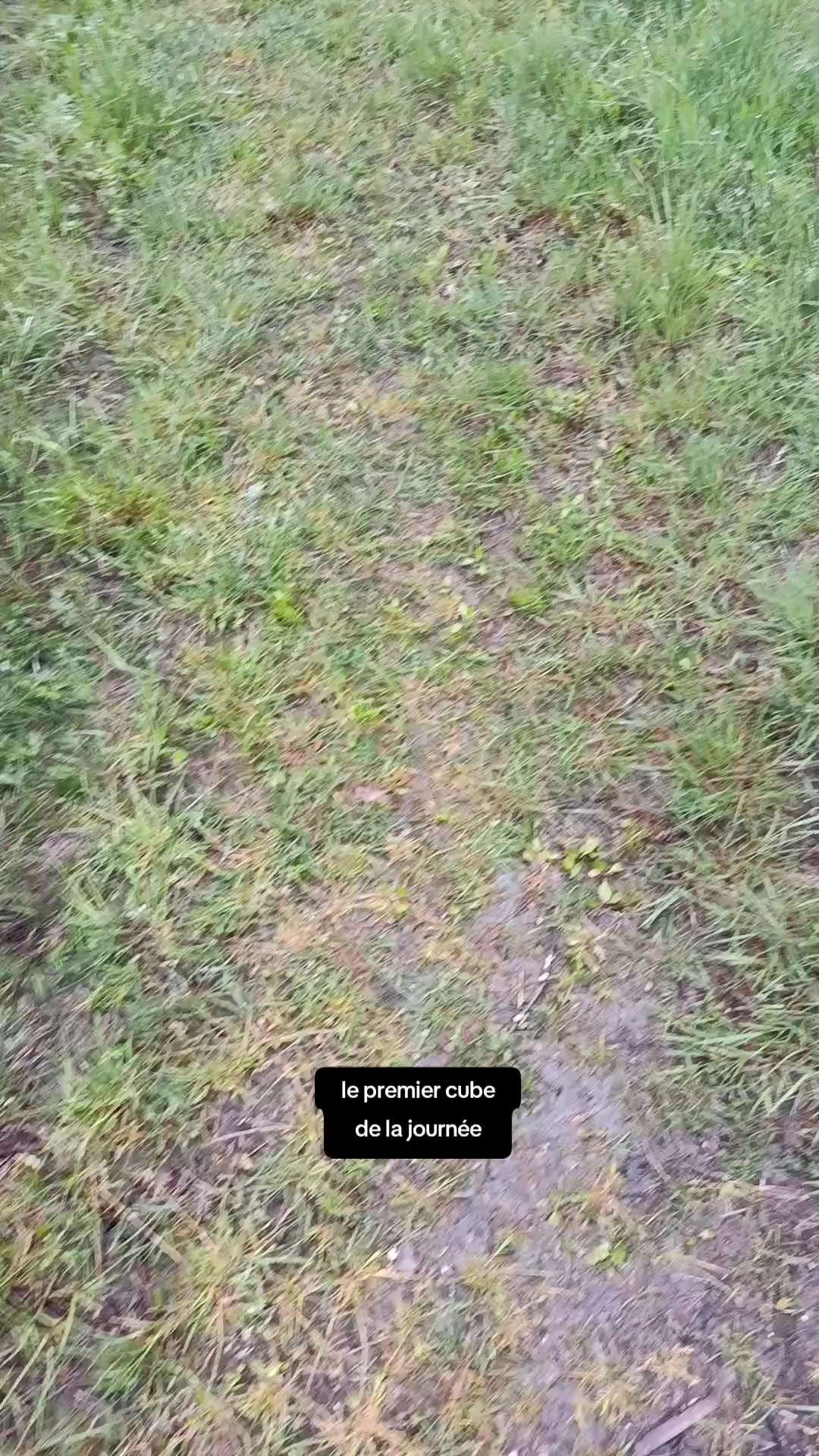 @minerodoc 🇫🇷⛏️🤓⛏️