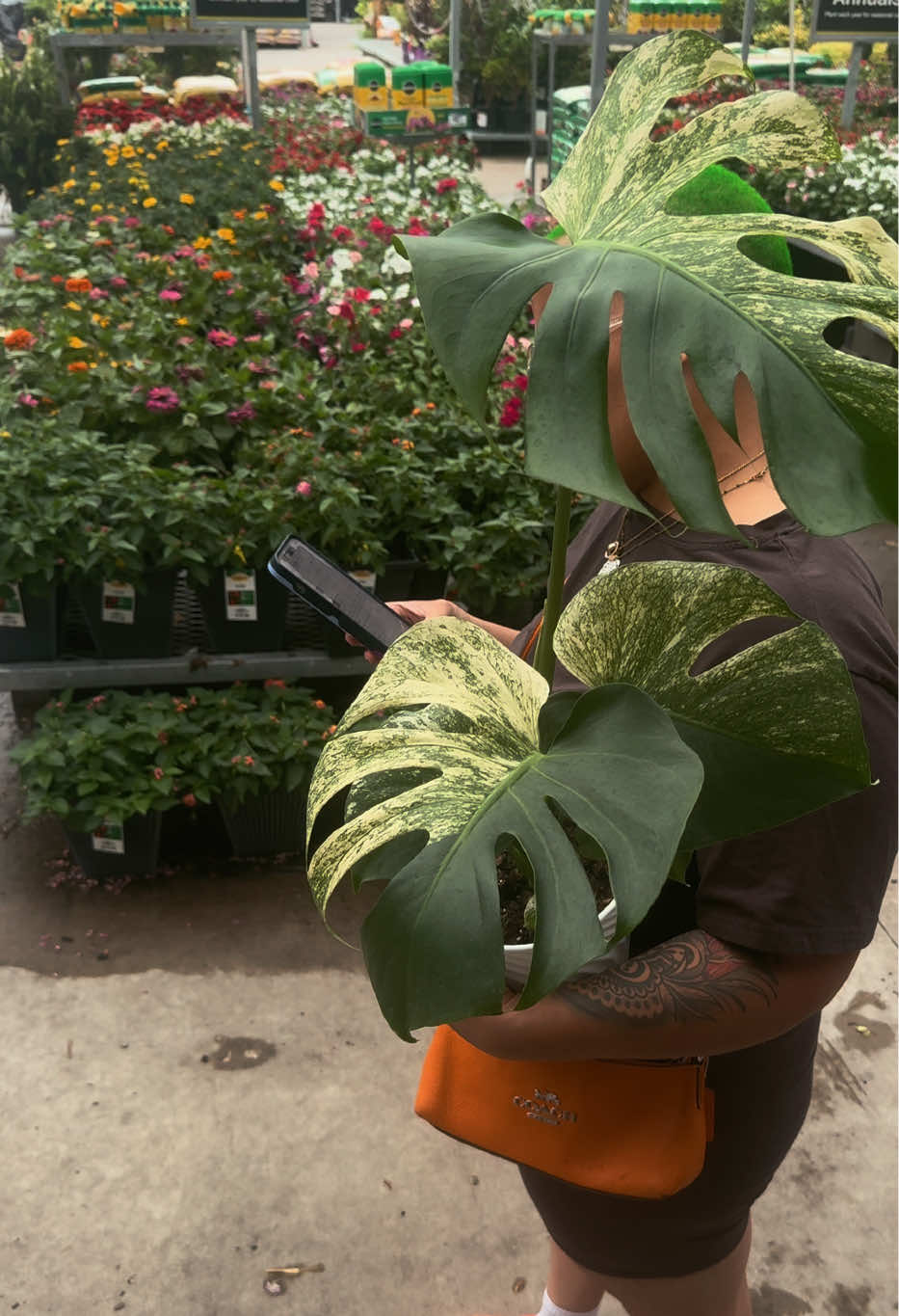 @Plant Deco ATL