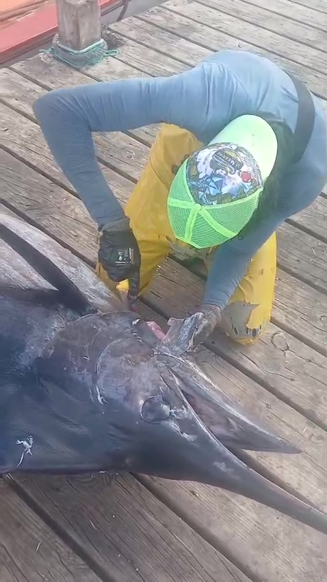 @fish_and.crabes