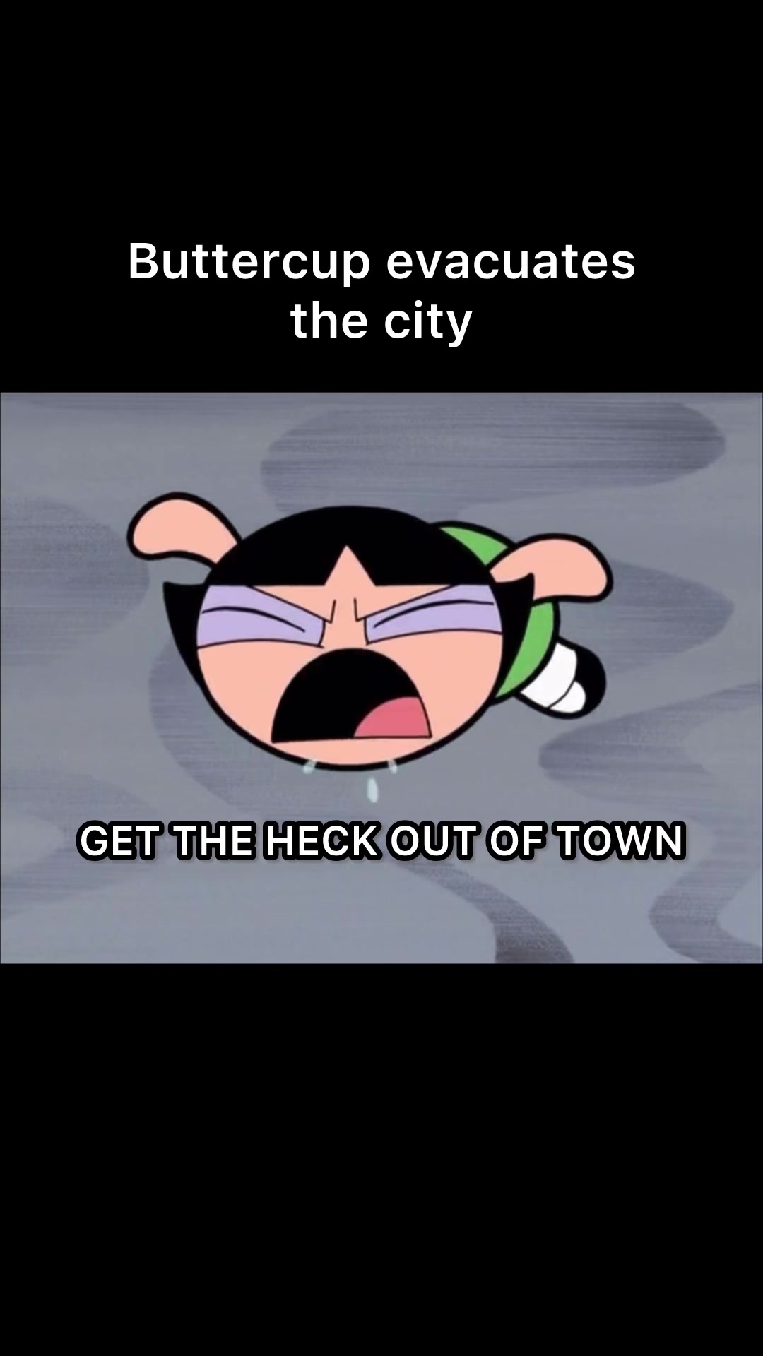 @TheTruePurplePuff