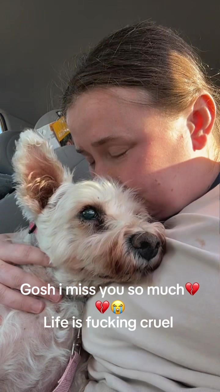 @SHERRALEE|PETLOSS|MENTALHEALTH