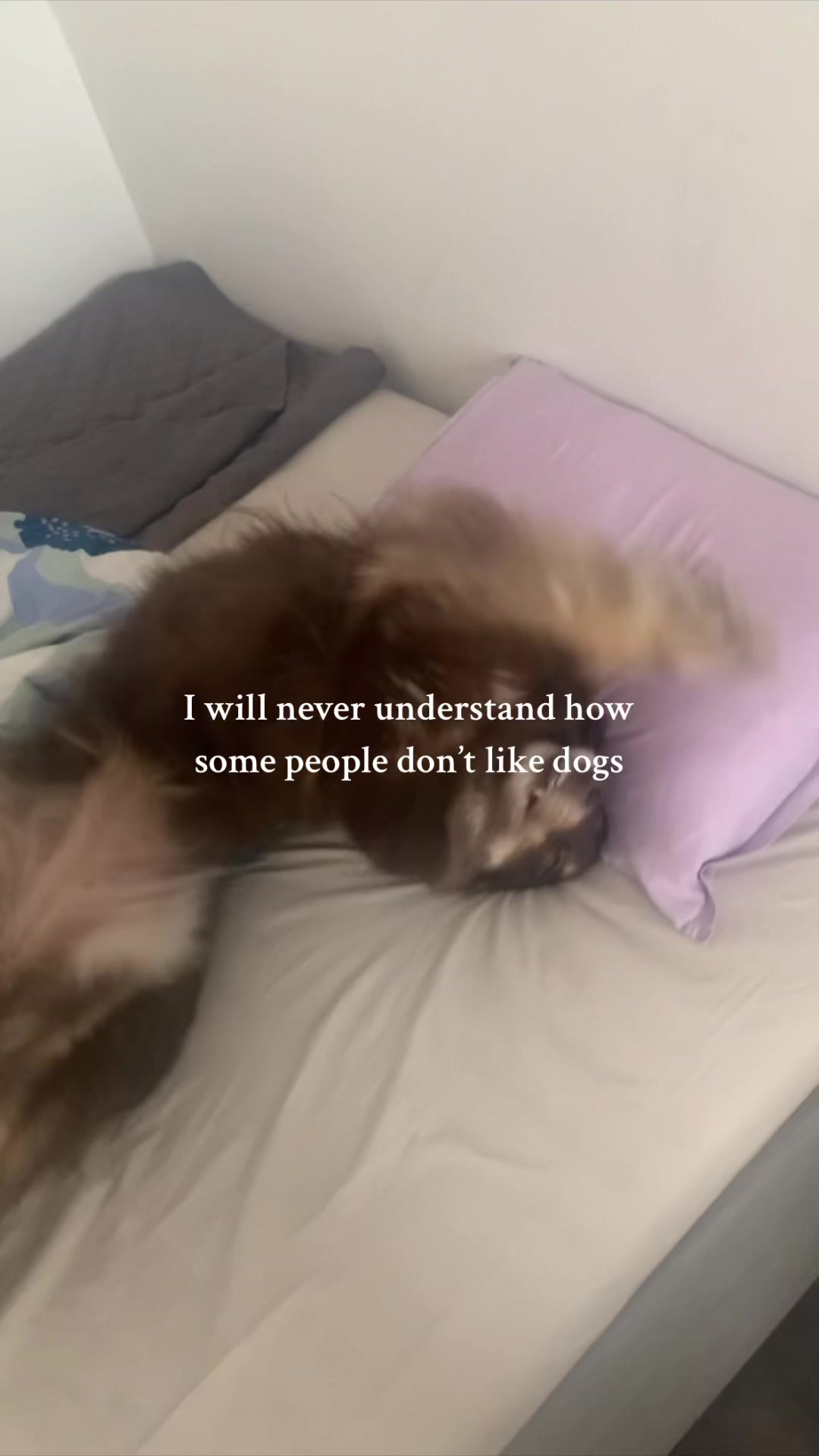 @𝓲𝓷𝓰𝓪🪽