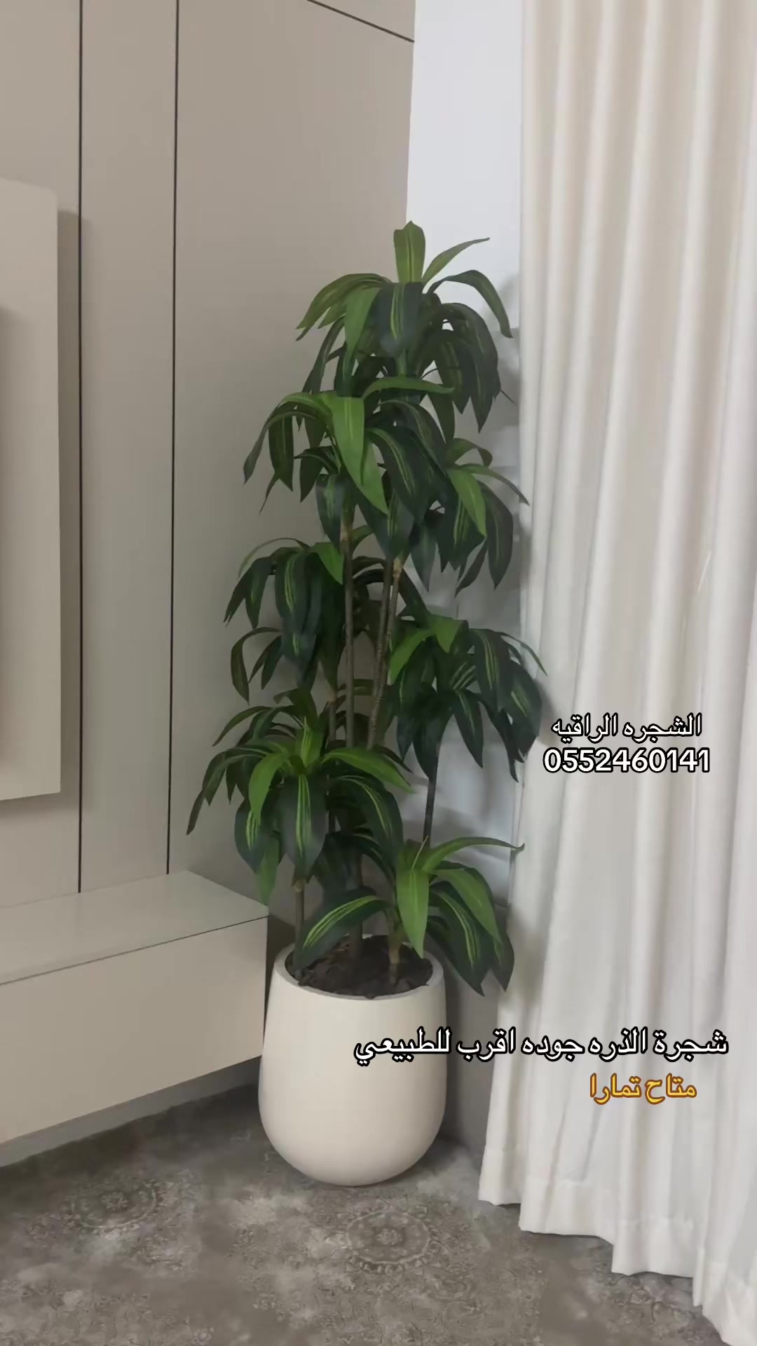 @الشجره الراقيه(زهور المملكه)🌴