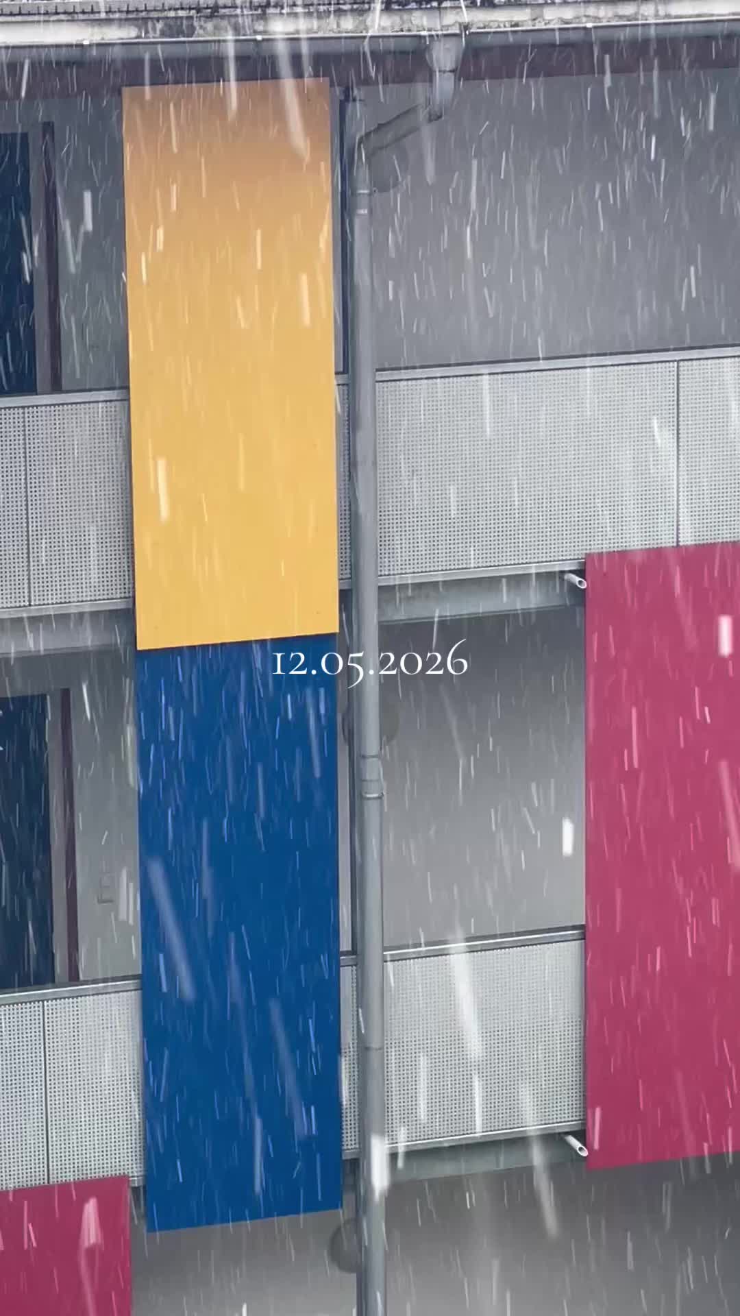 @ilveliero2002