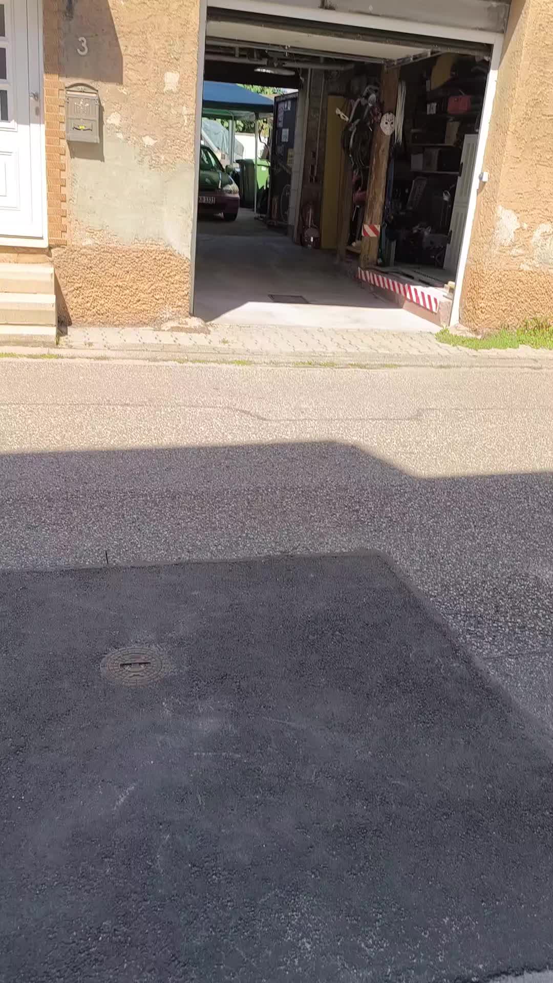 @RyukHonda 🇩🇪