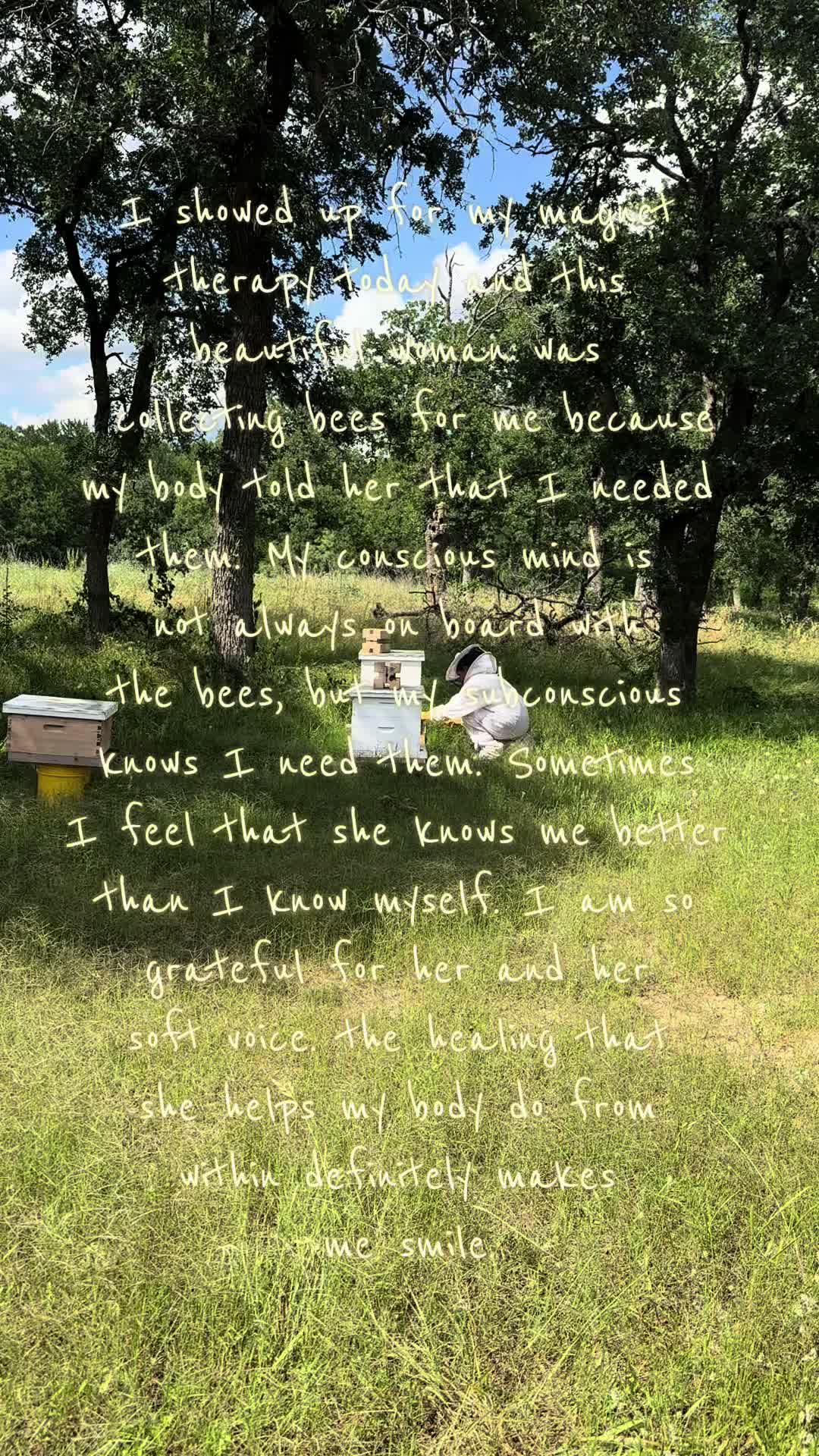 @🐝🐝