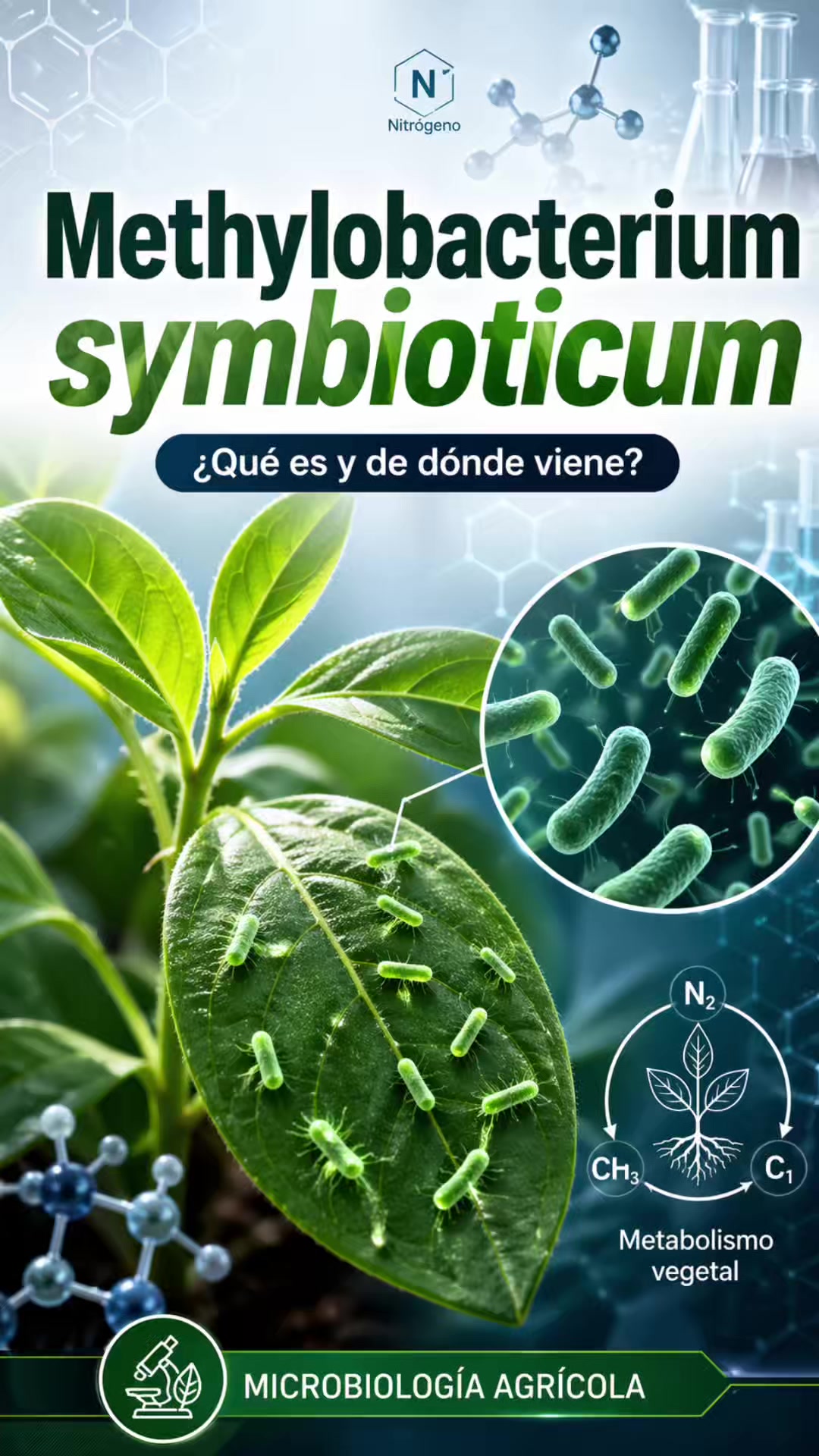 @microbiolabec