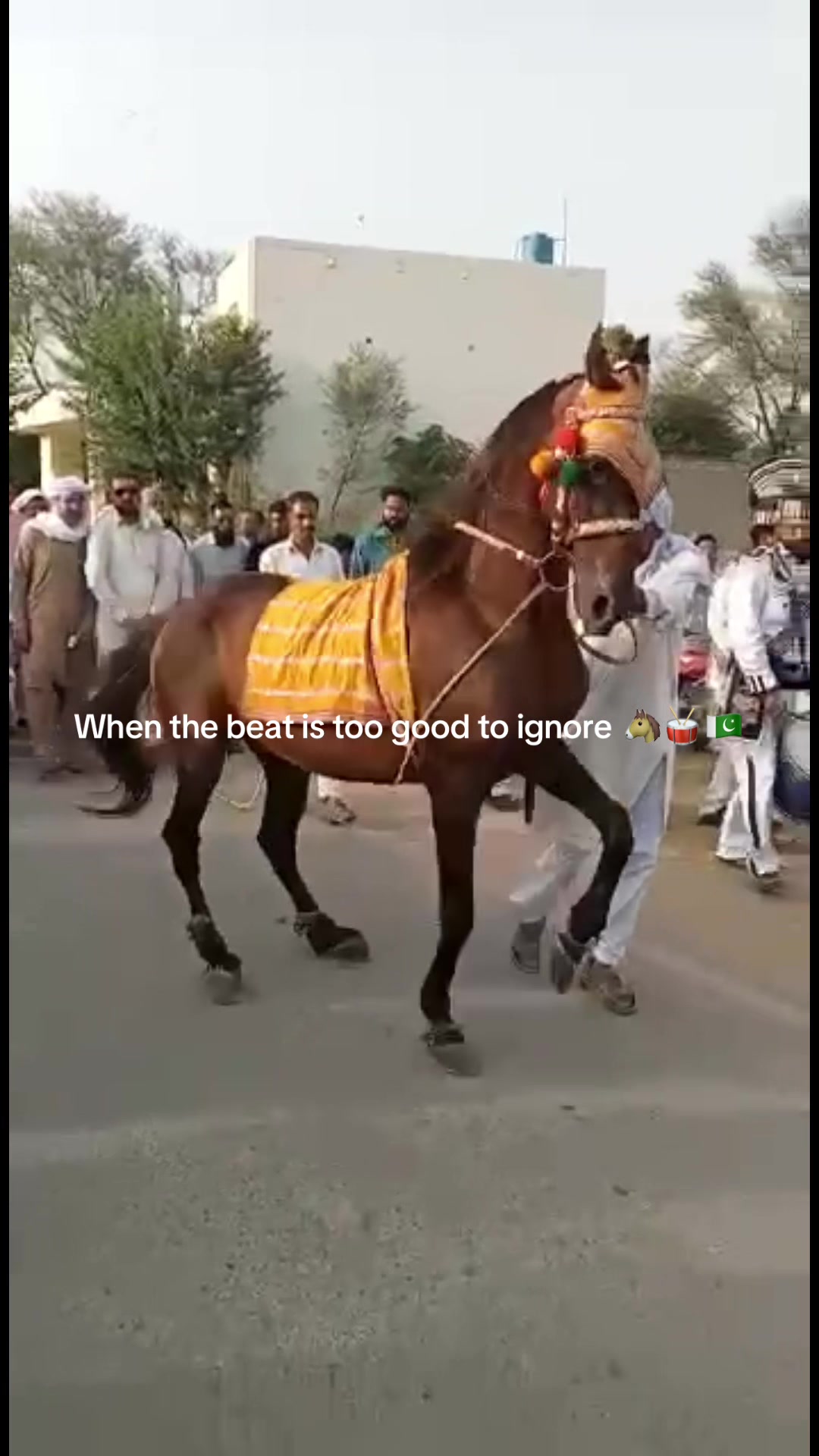@meshal.hussain