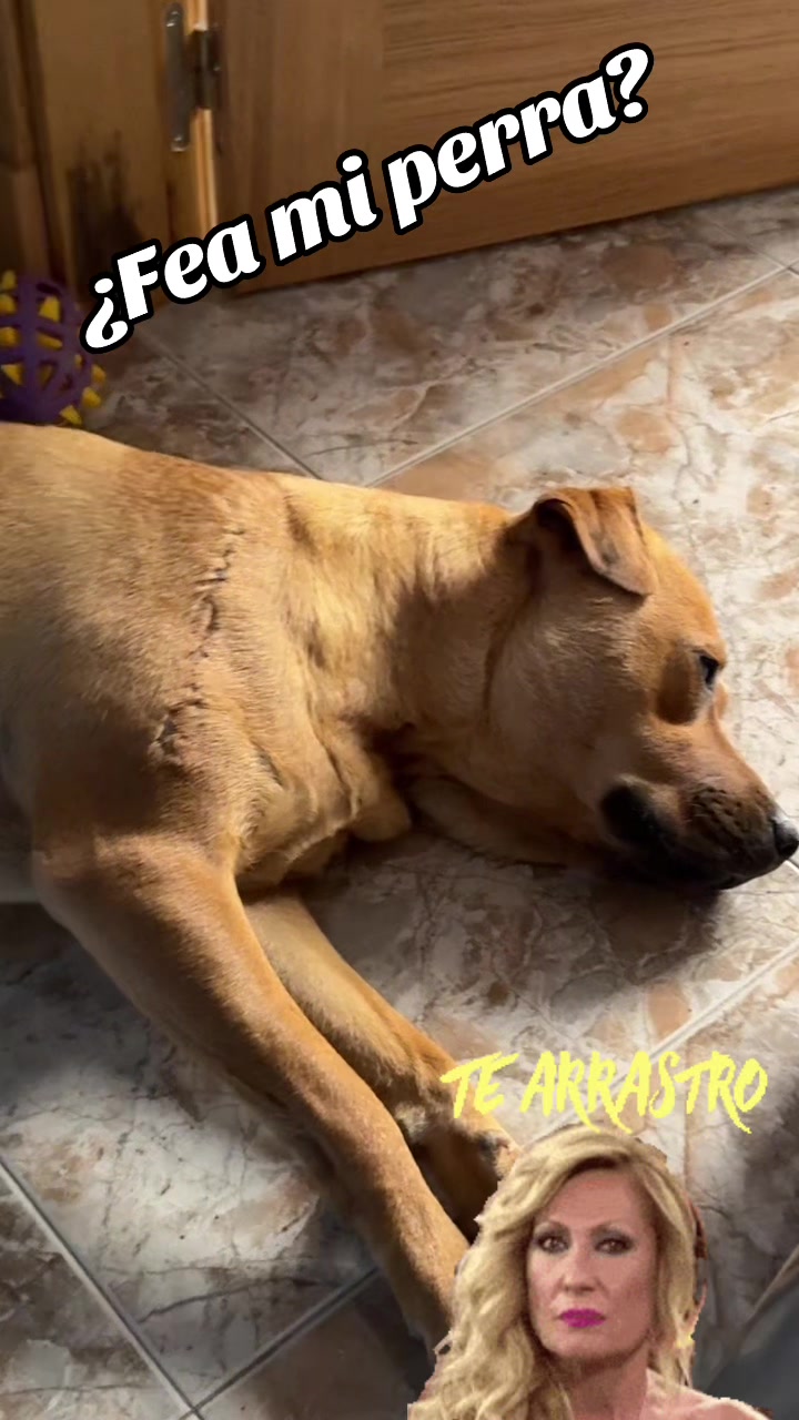 @Liber💋🥰