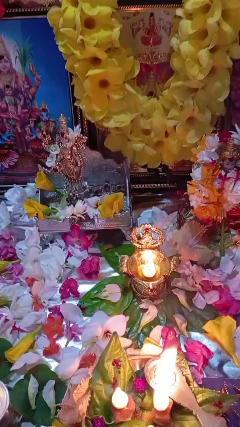 @Cooper & Nagaa